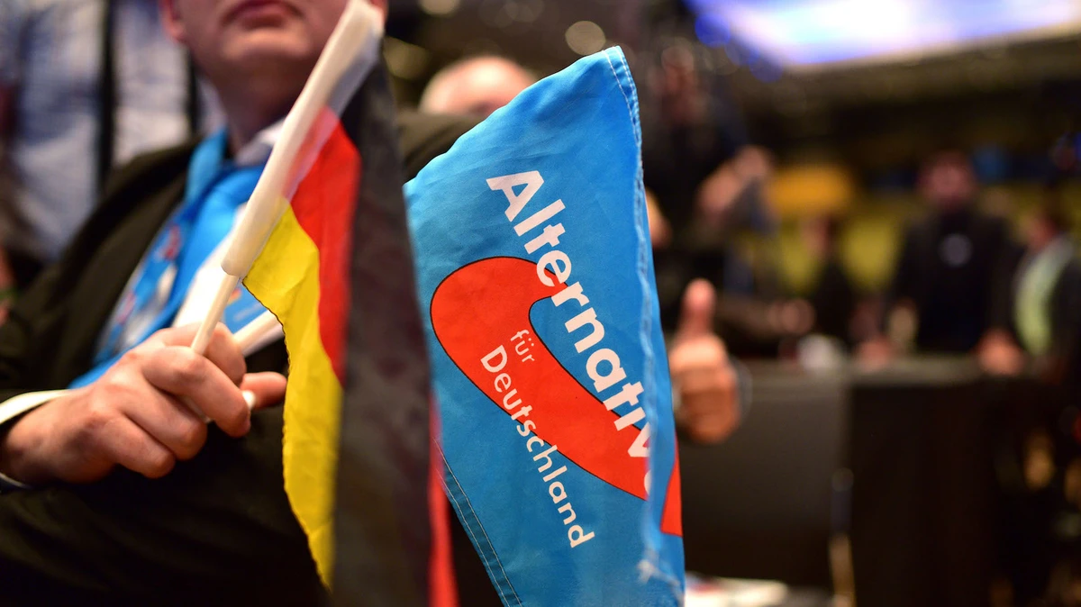 Resisting the Far-Right Surge Germany’s Battle for Democracy