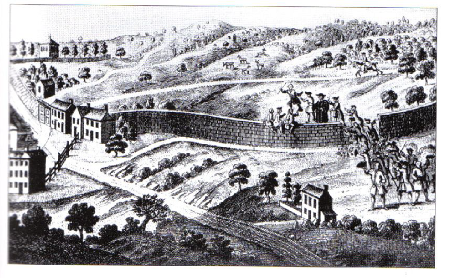 Freedom And Slavery The Birth Of Capital
