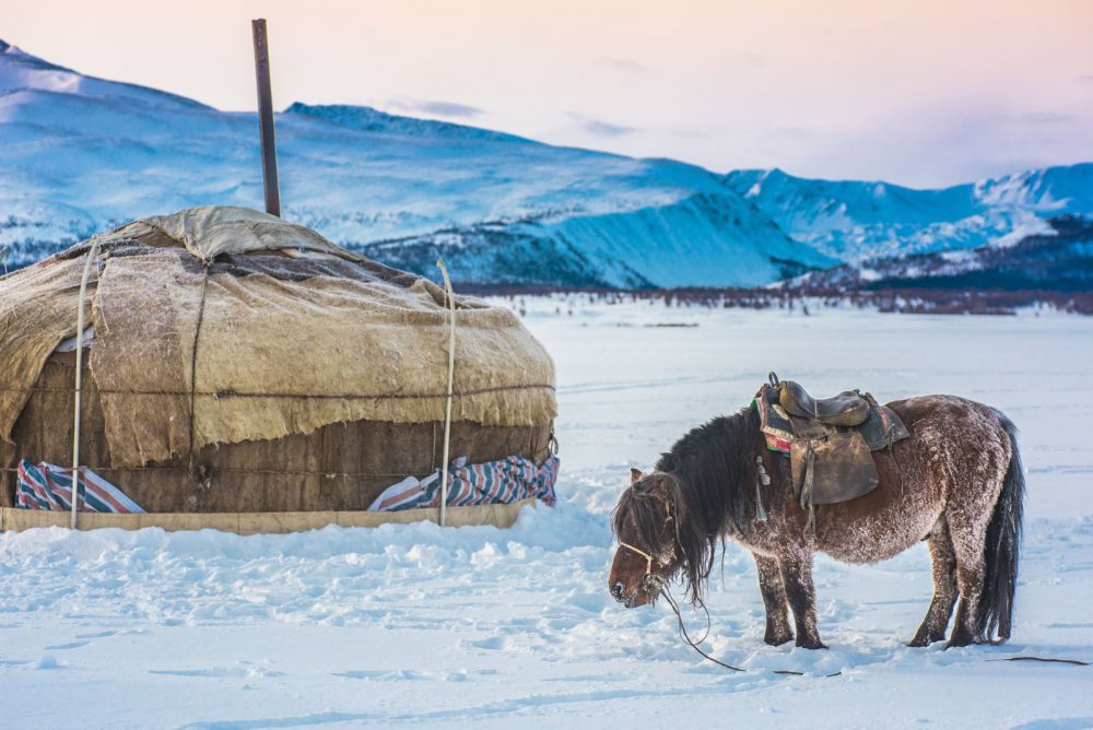 Mongolia’s Nomadic Crisis: Climate Change
